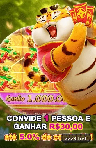 zzz3 suporte